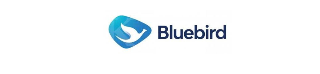 Lowongan Kerja PT. BLUE BIRD TBK